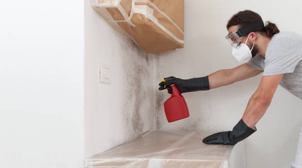 Professional Mold Cleanup technician working in Farmingdale, NY